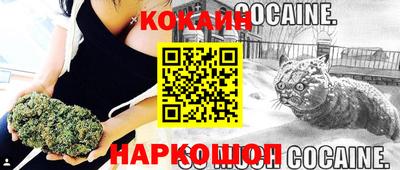индика Ипатово